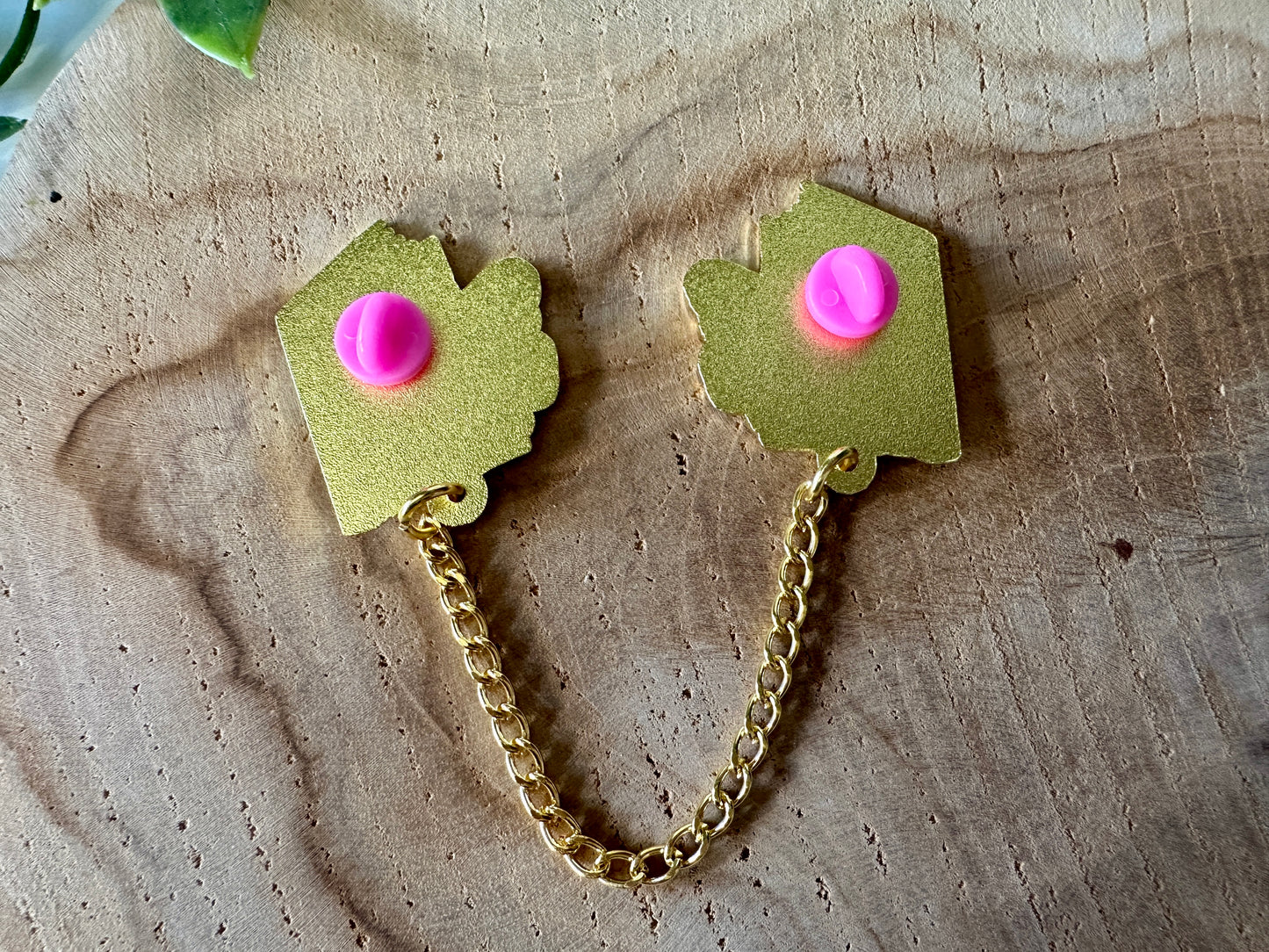 Moth & Book Enamel Collar Pin