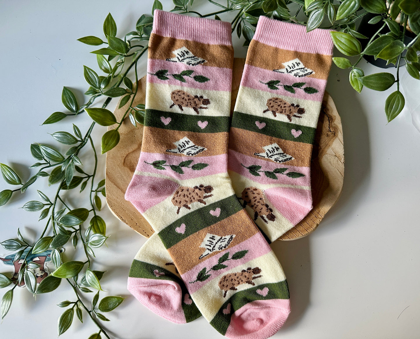 Chaussettes Capybara