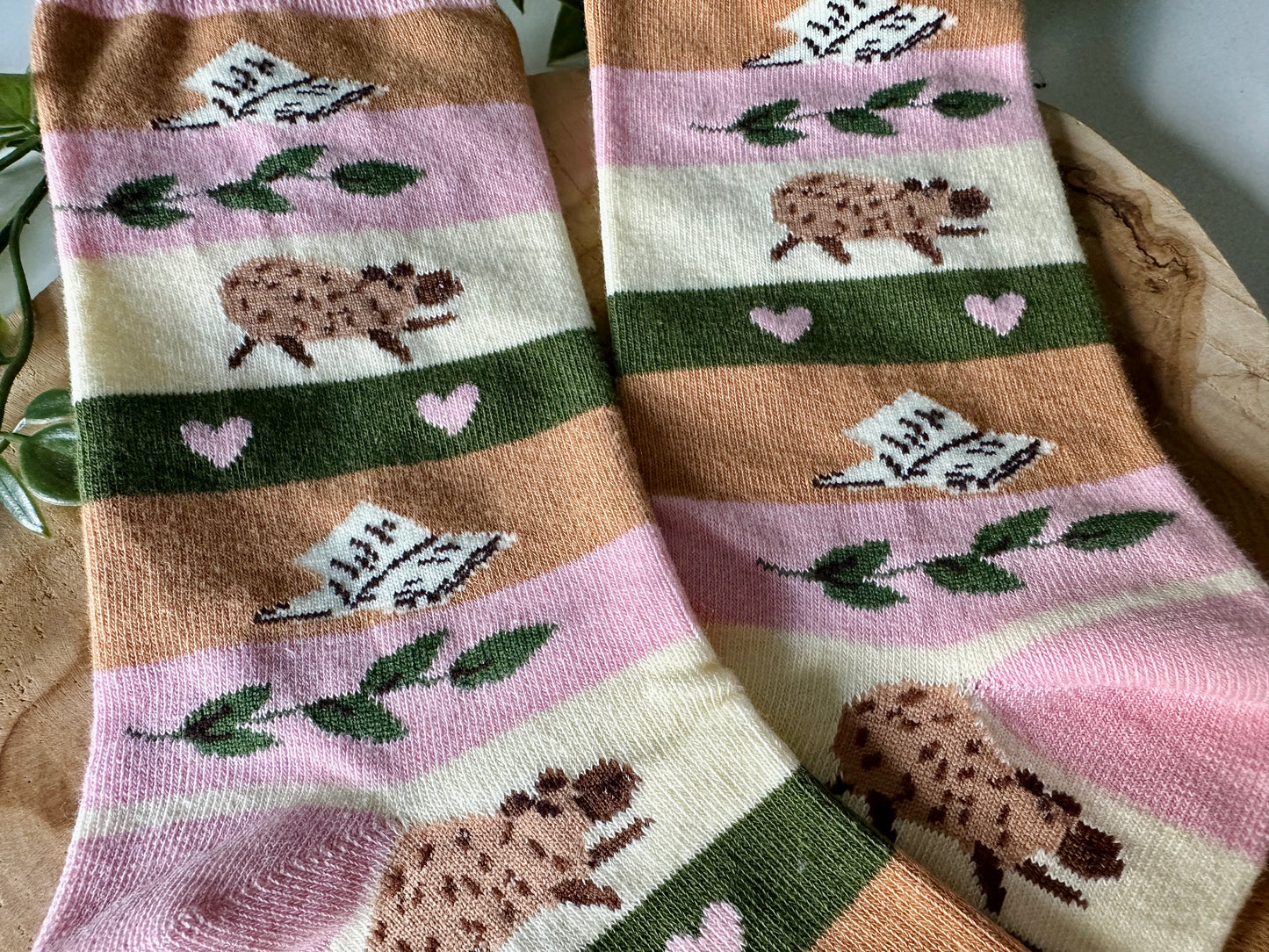 Chaussettes Capybara