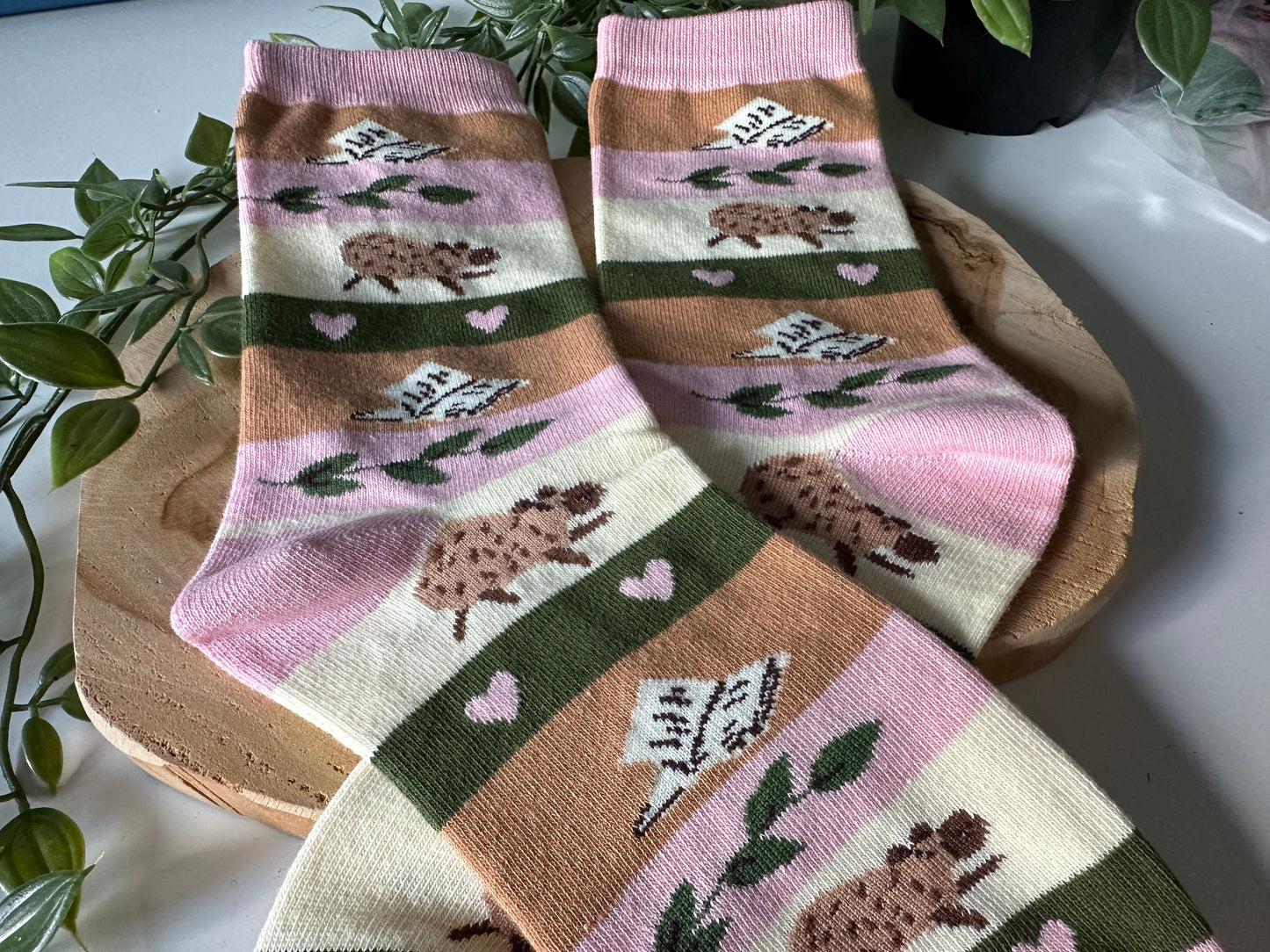Chaussettes Capybara