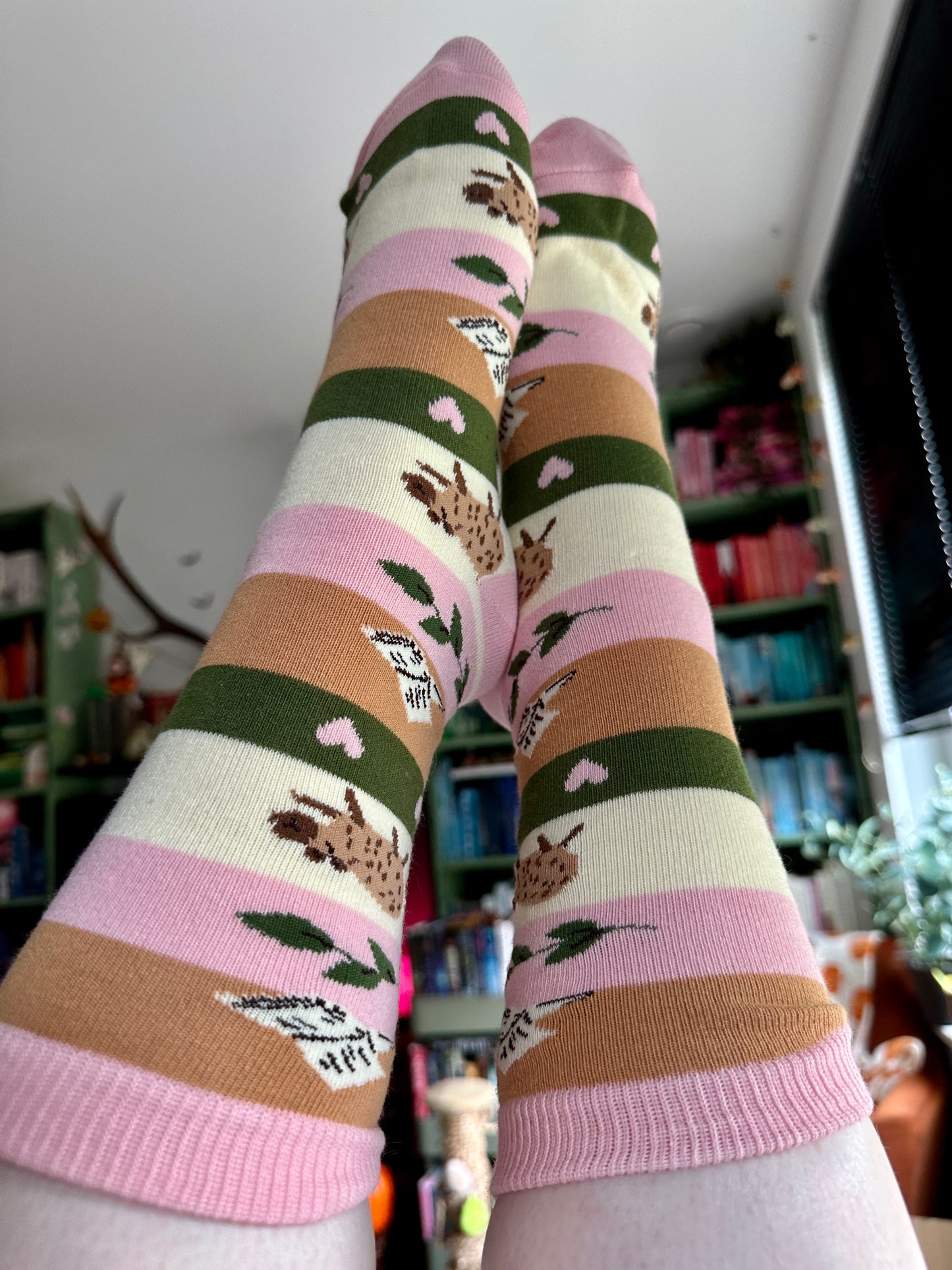 Chaussettes Capybara