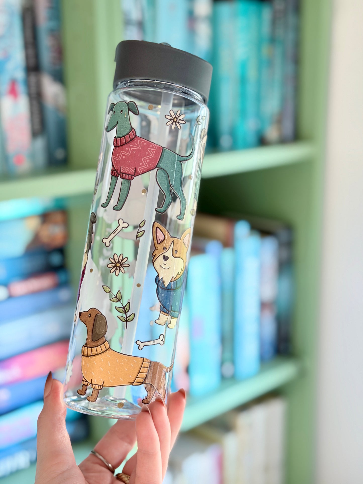 Hündchen in Pullovern Wasserflasche