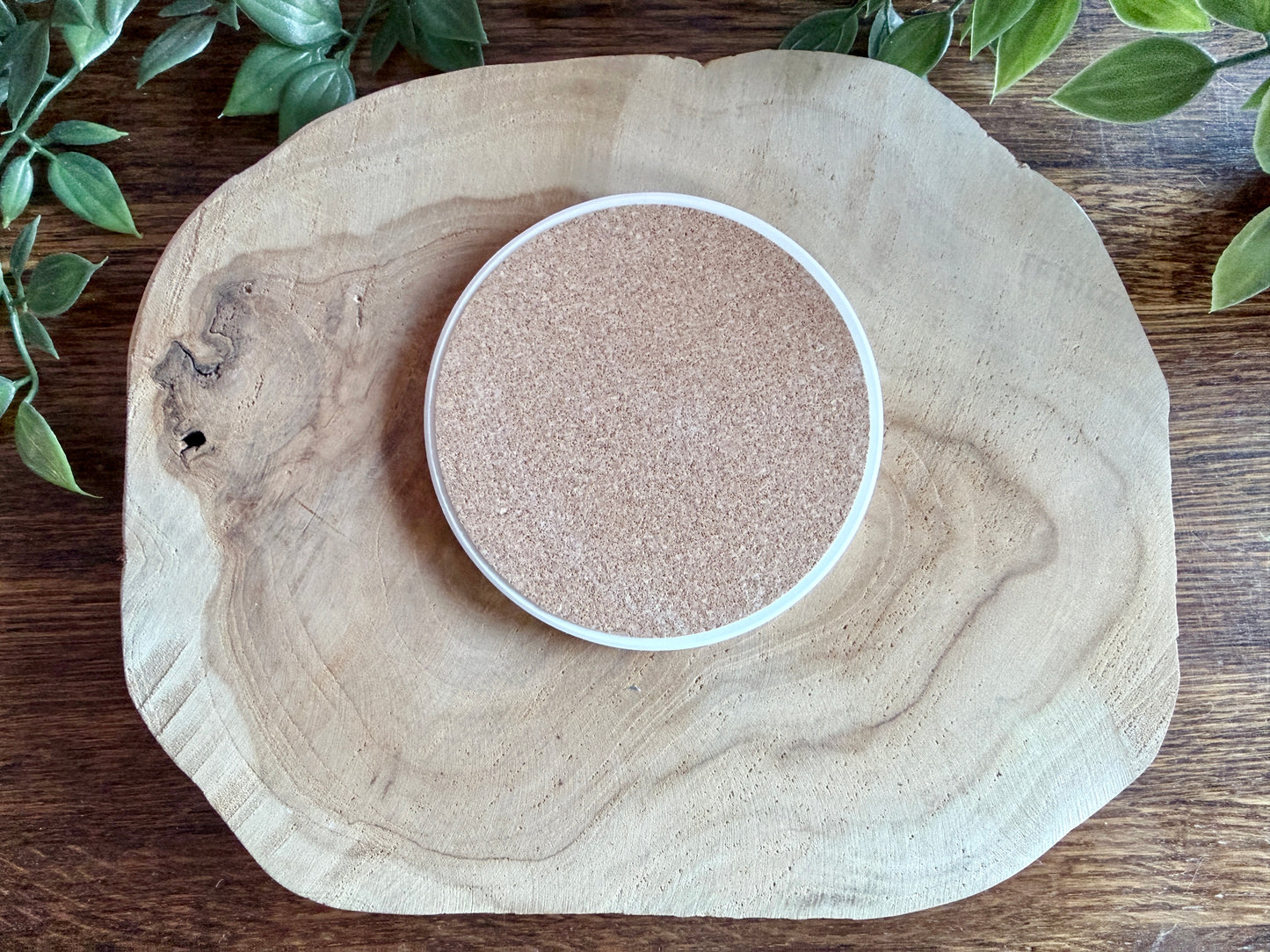 Sleeping Fox Coaster