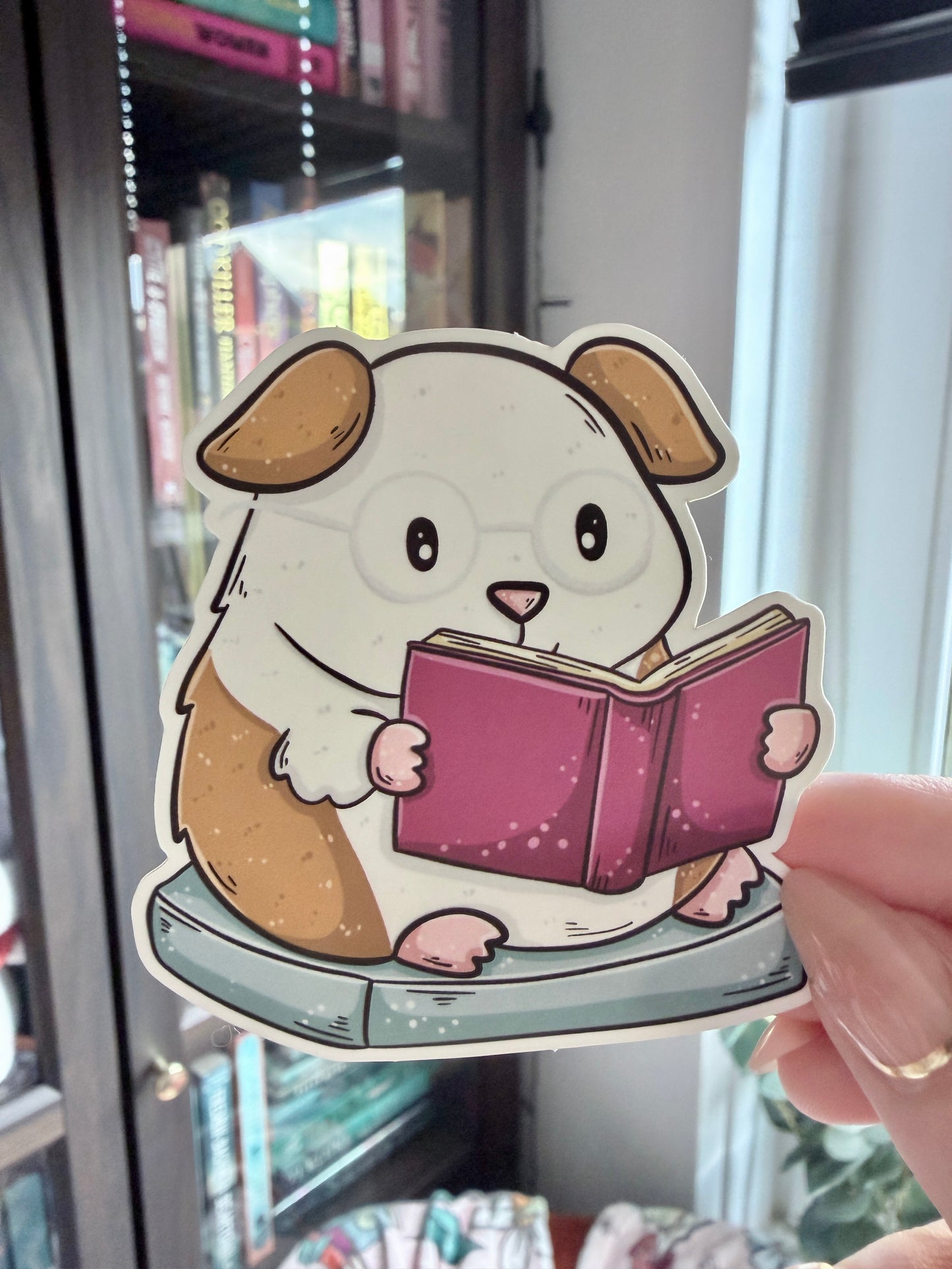 Autocollant découpé Reading Guinea Pig