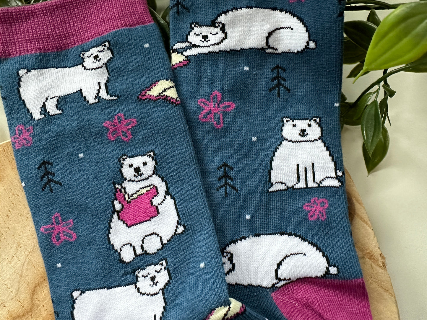 Chaussettes de ours polaires de lecture
