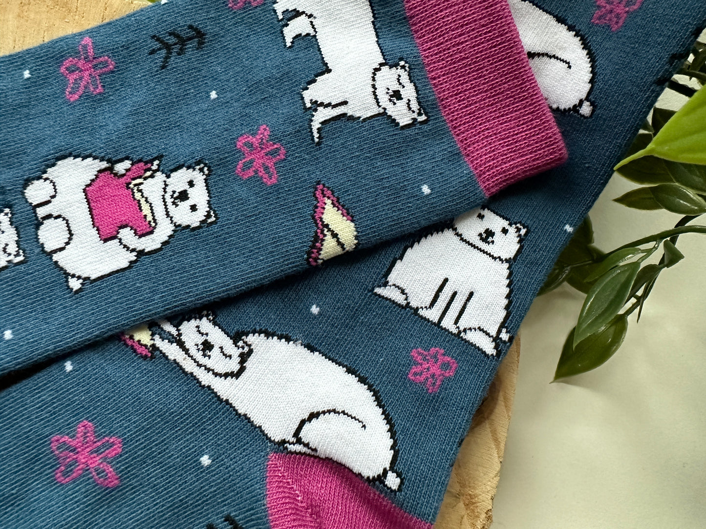Chaussettes de ours polaires de lecture