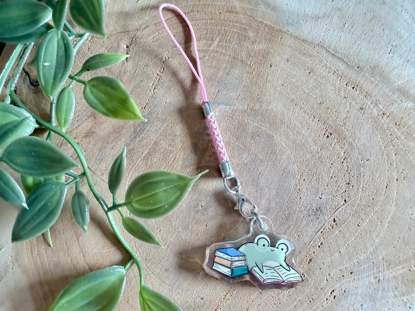Book Frogs Mystery Phone Charm Blind Bag