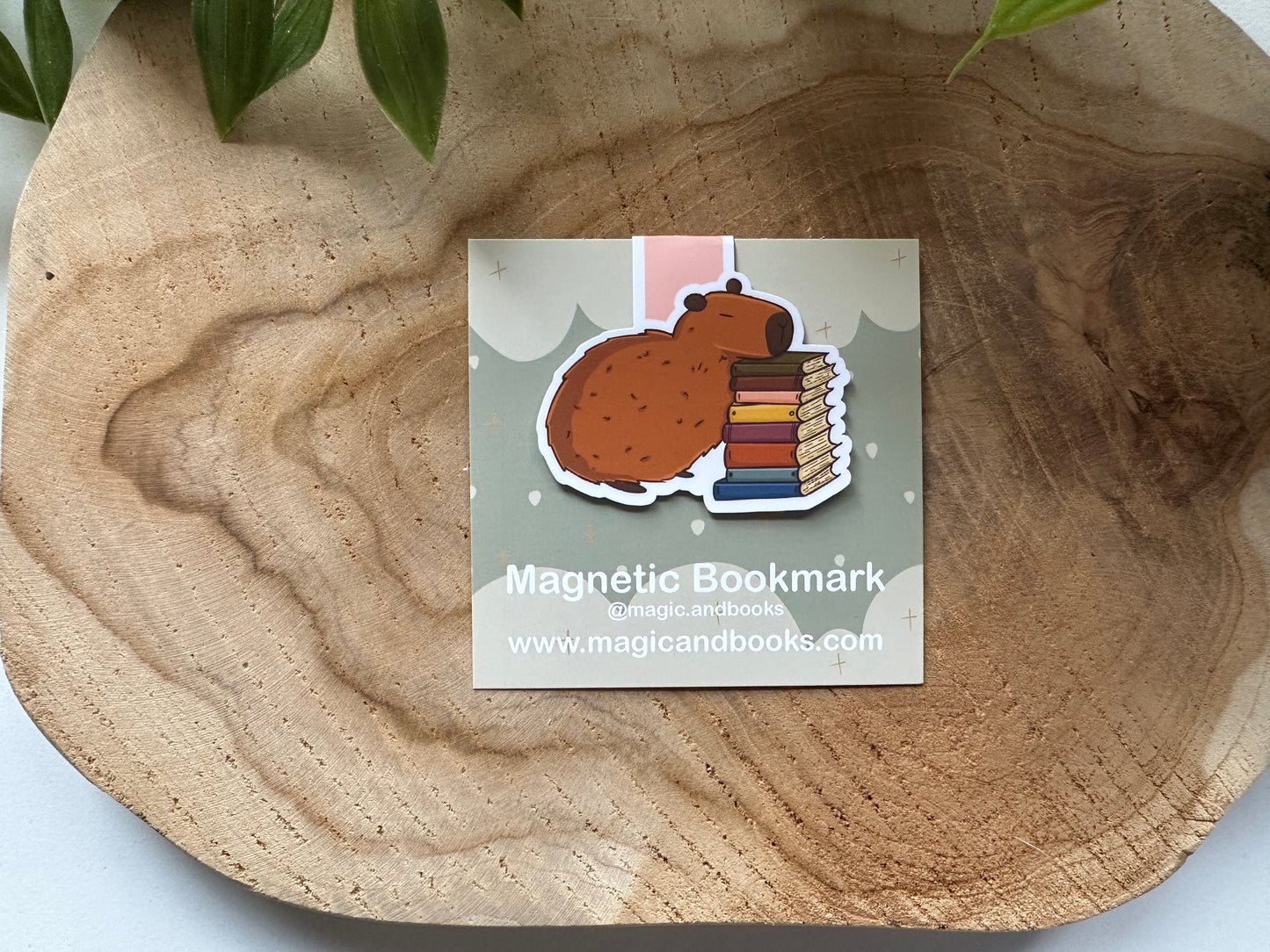 Capybara Magnetische Boekenlegger