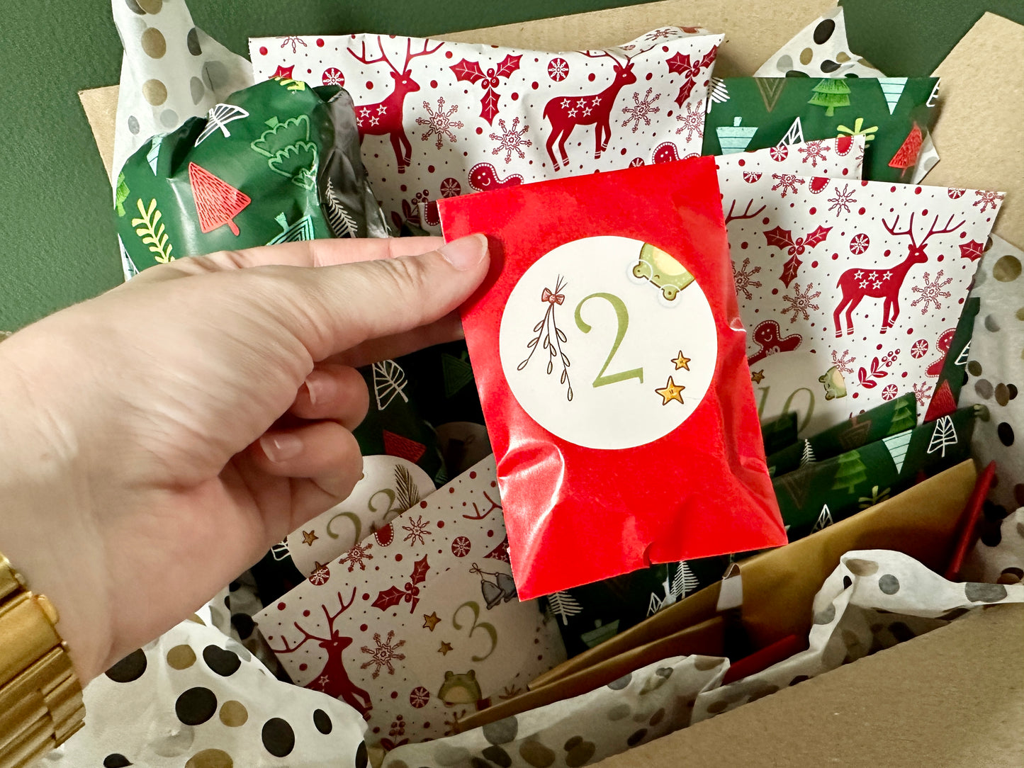 PRE-ORDER 24 Days of Christmas Bookish Advent Calendar 2025!