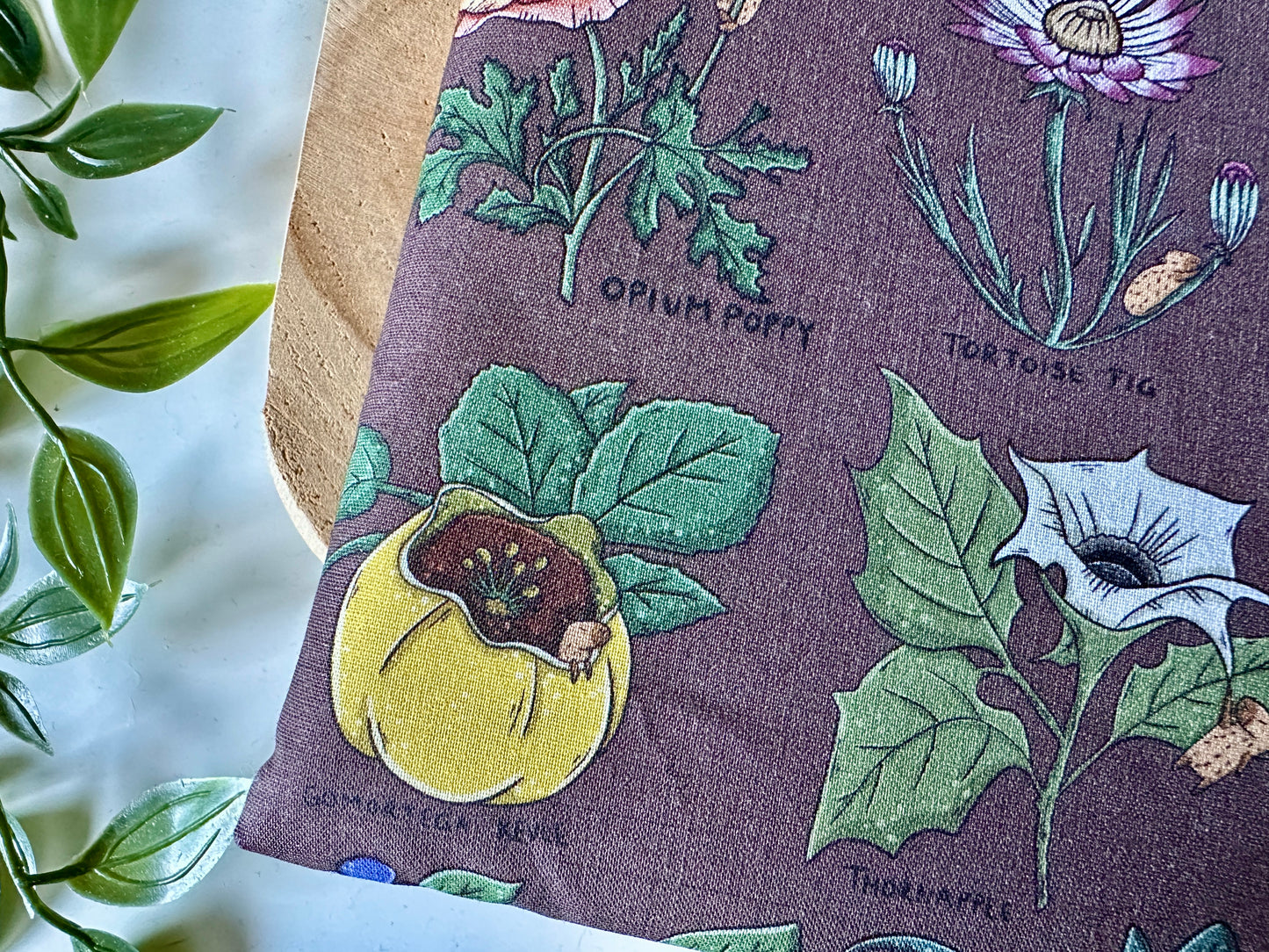 Housse de livre Guide des plantes hallucinogènes de Capybara (Design personnel)