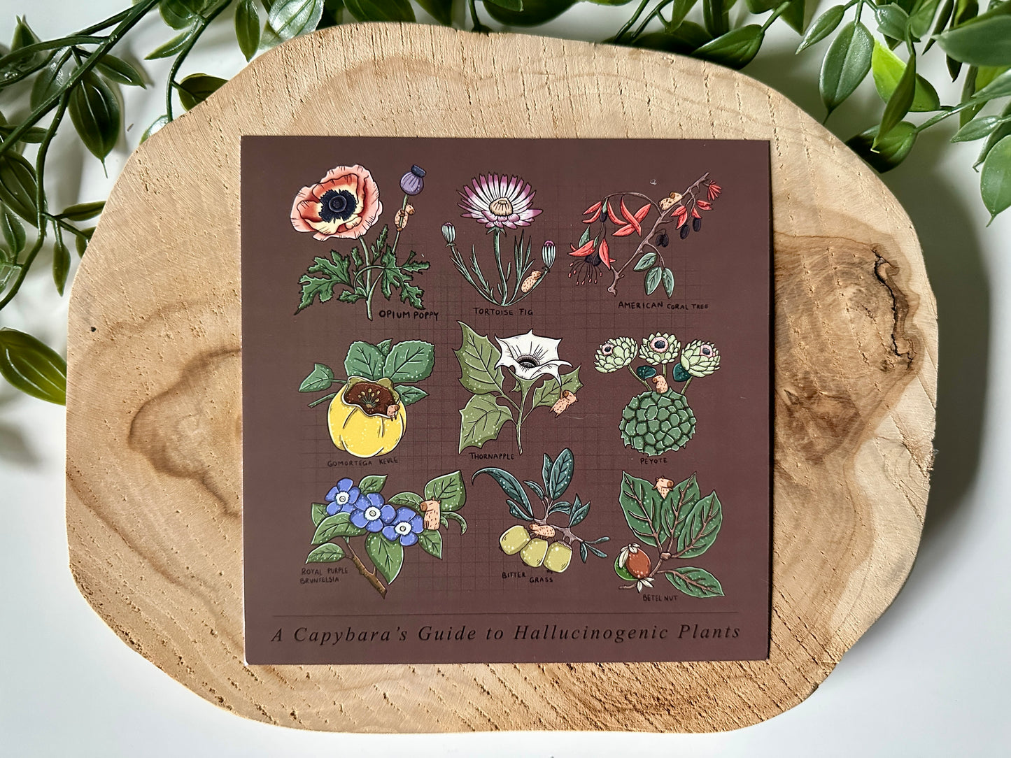 A Capybara's Guide to Hallucinogenic Plants Postcard
