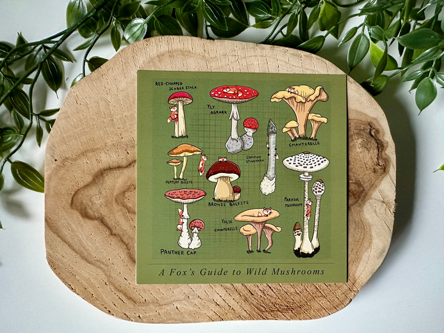 A Fox's Guide to Wild Mushrooms Postcard
