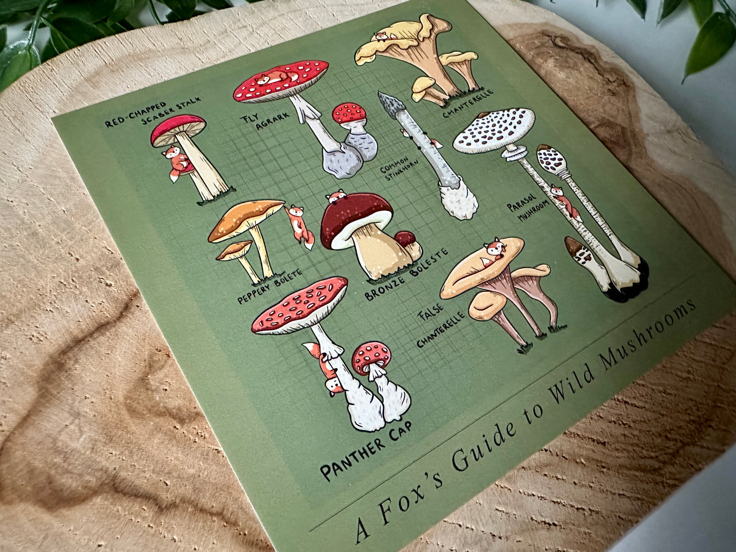 A Fox's Guide to Wild Mushrooms Postcard