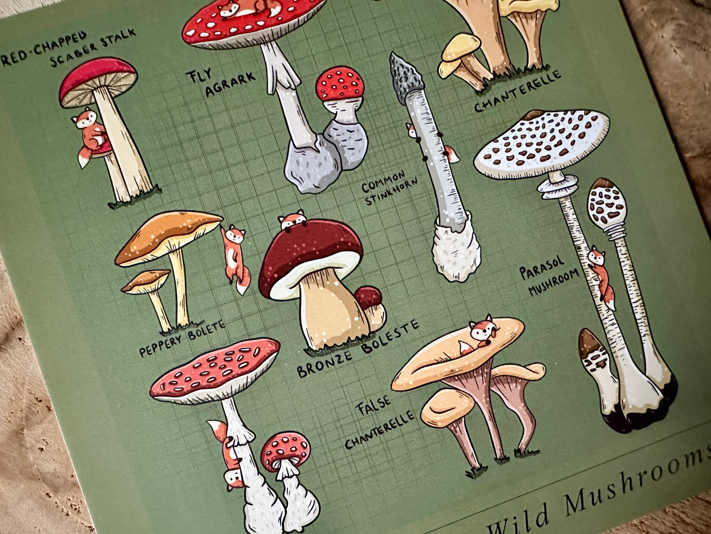 A Fox's Guide to Wild Mushrooms Postcard