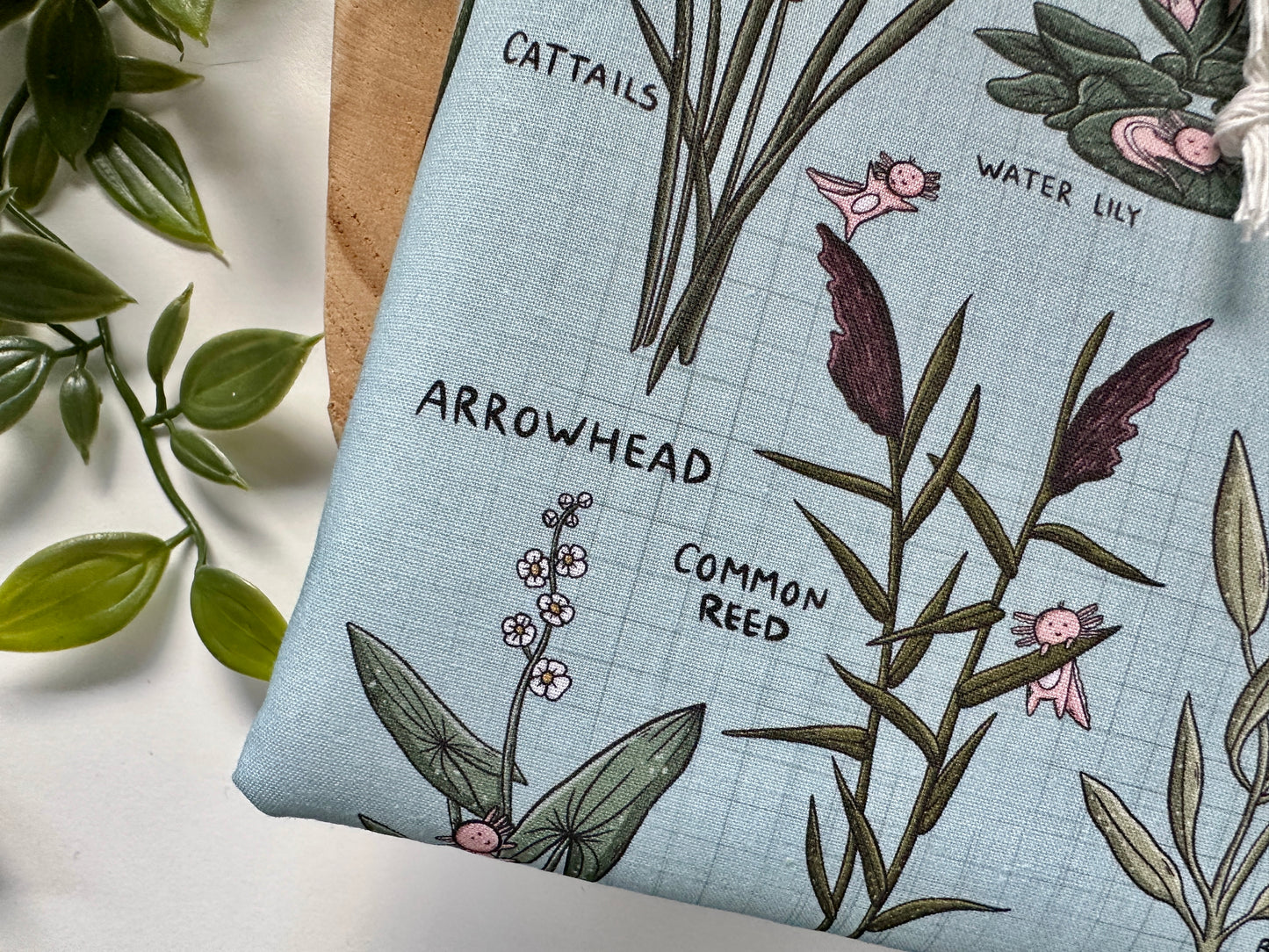 Axolotl's Guide to Aquatic Plants Booksleeve (Own Design)