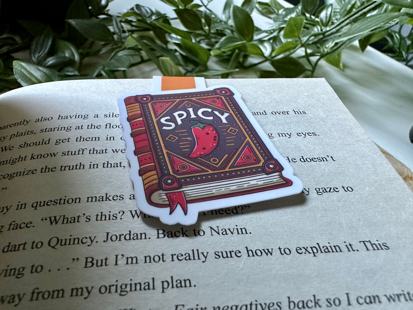 Spicy Book Magnetic Bookmark