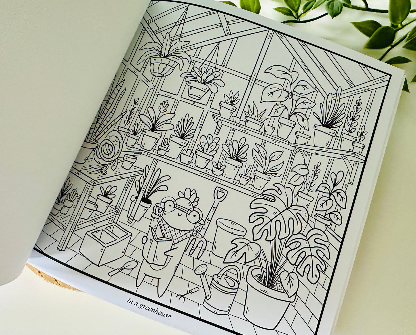Froggie's Reading Adventure Colouring Book