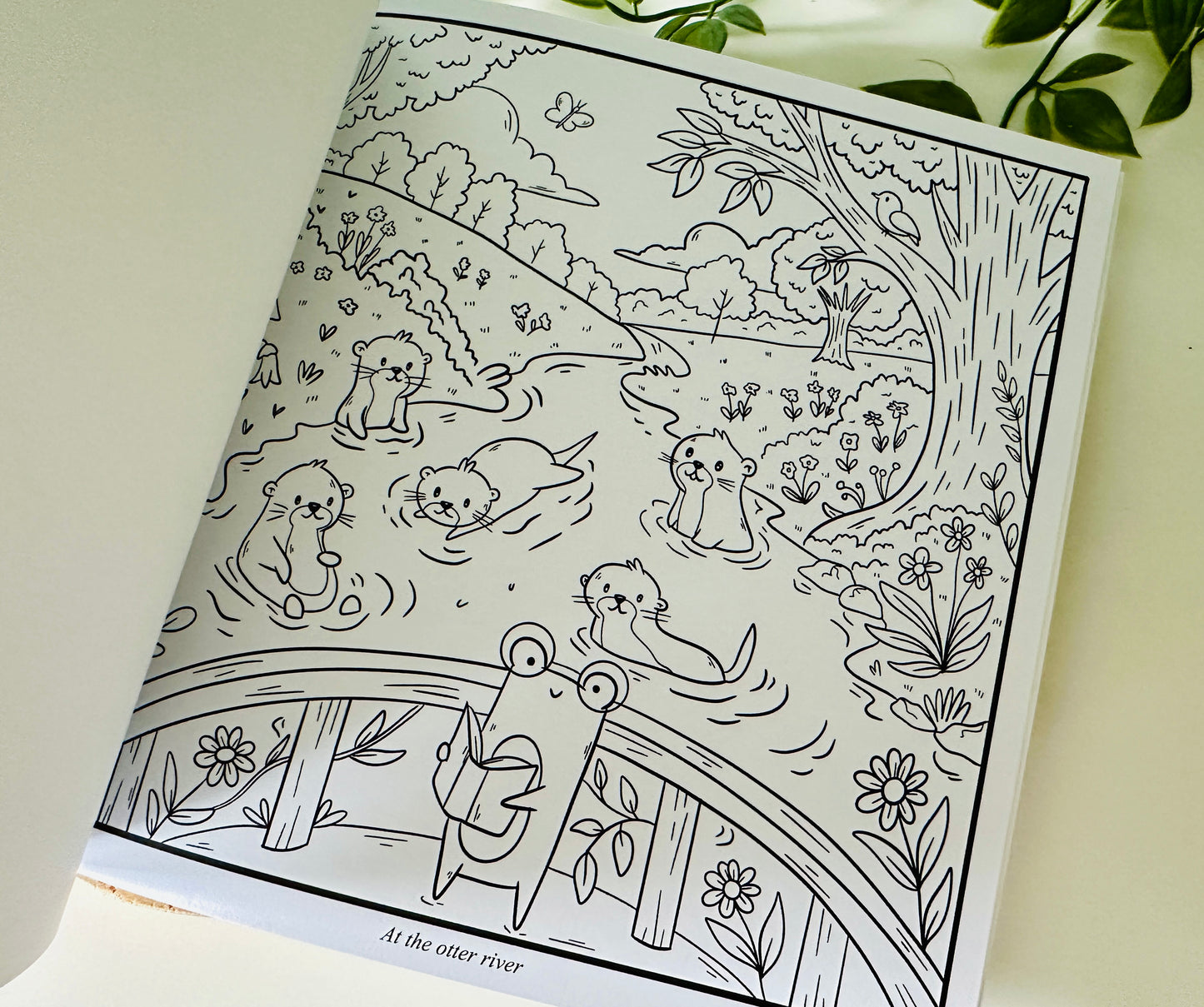 Froggie's Reading Adventure Colouring Book