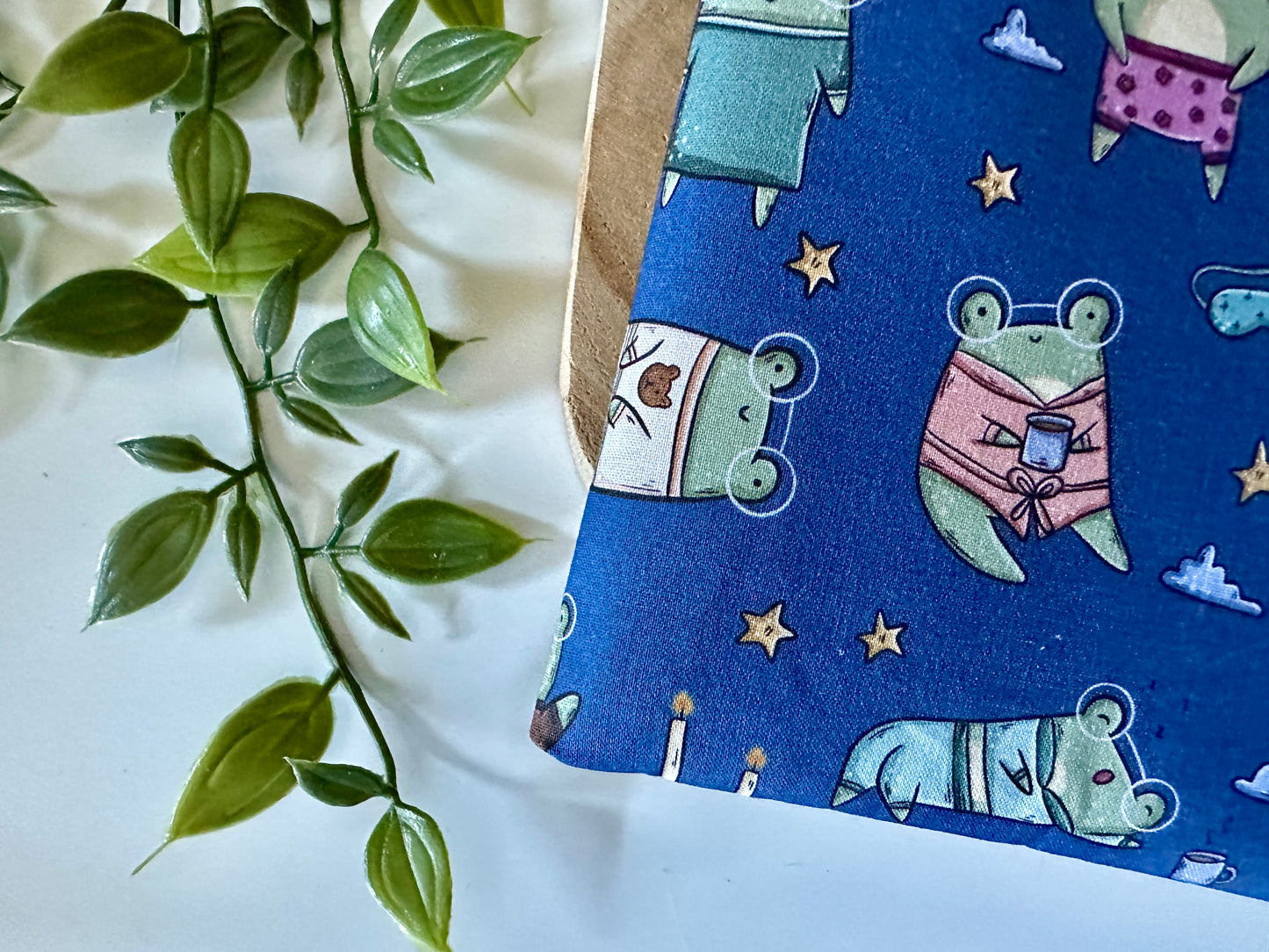 Froggie in Pyjamas Booksleeve (Own Design)