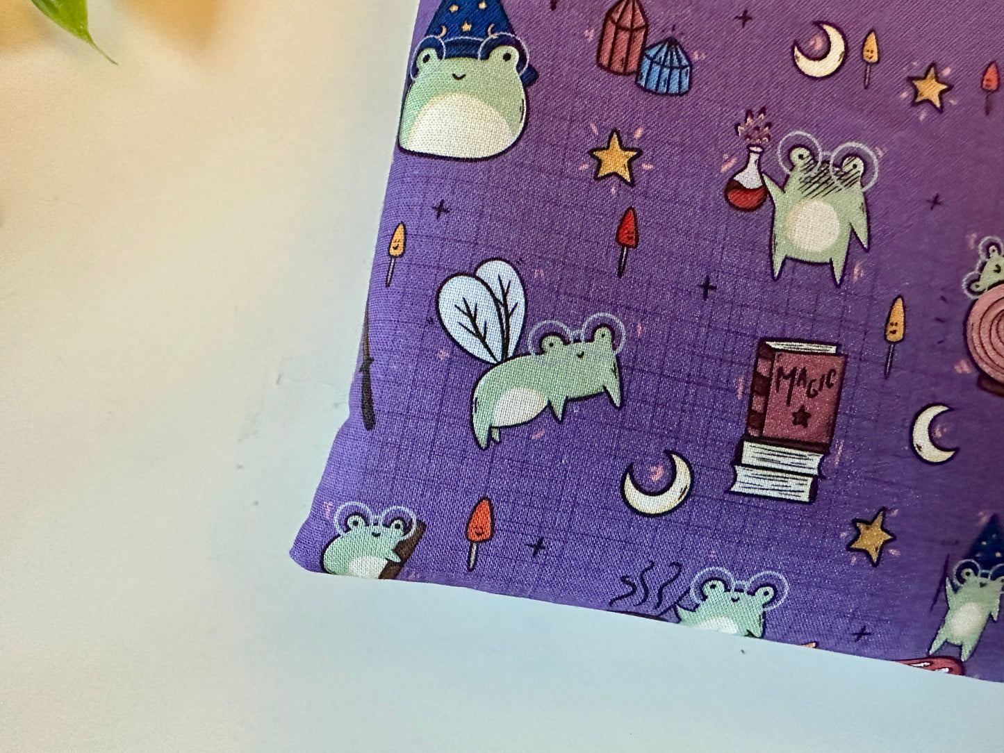 XL Froggie Learns Magic Booksleeve (Own Design)