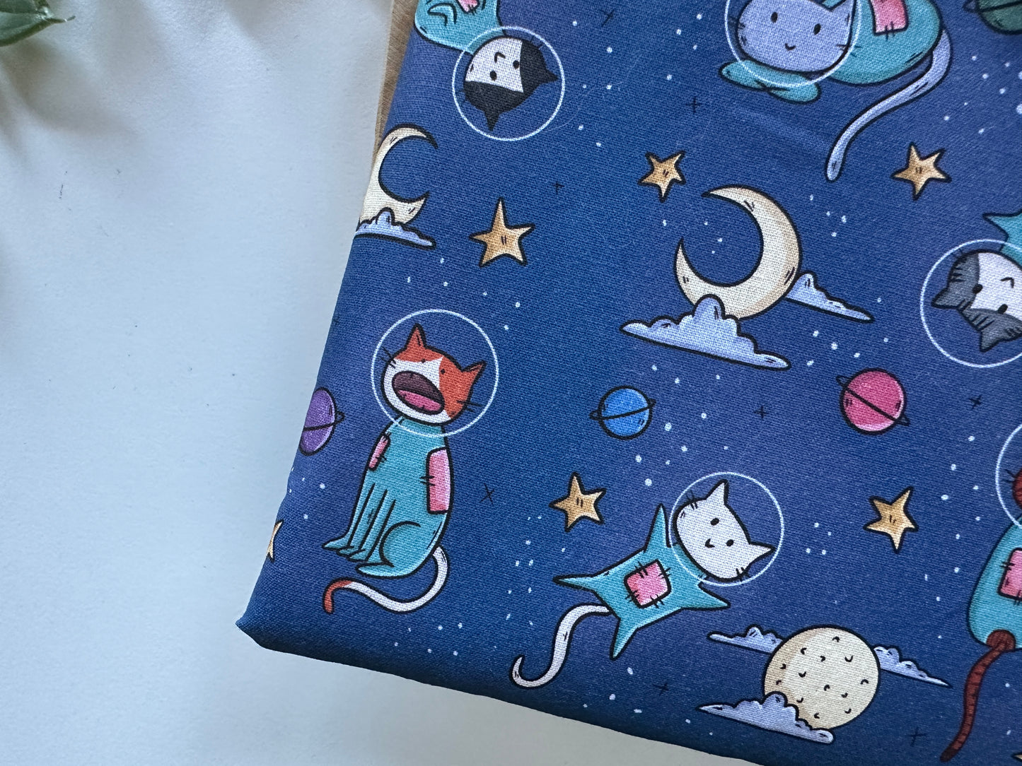 Cats in Space Booksleeve (Own Design) (LIMITED EDITION)