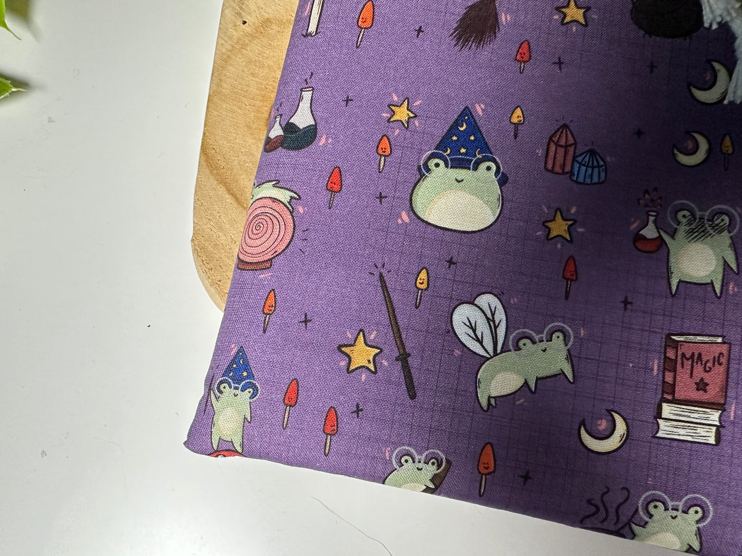 Froggie Learns Magic Booksleeve (Own Design)