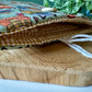 Housse de lecteur E-Reader Woodland Autumn (design personnel)