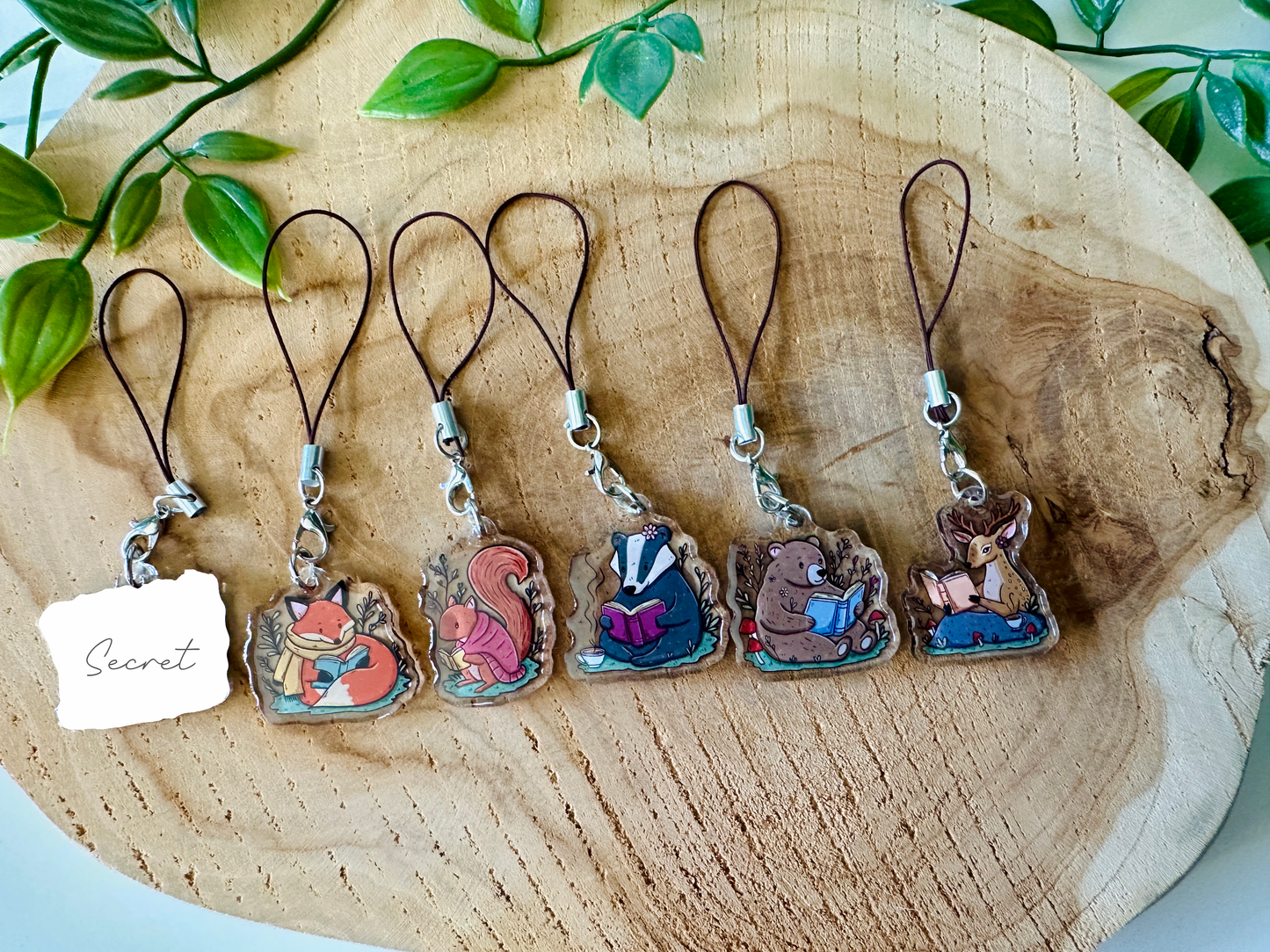 Woodland Readers Mystery Phone Charm Blind Bag
