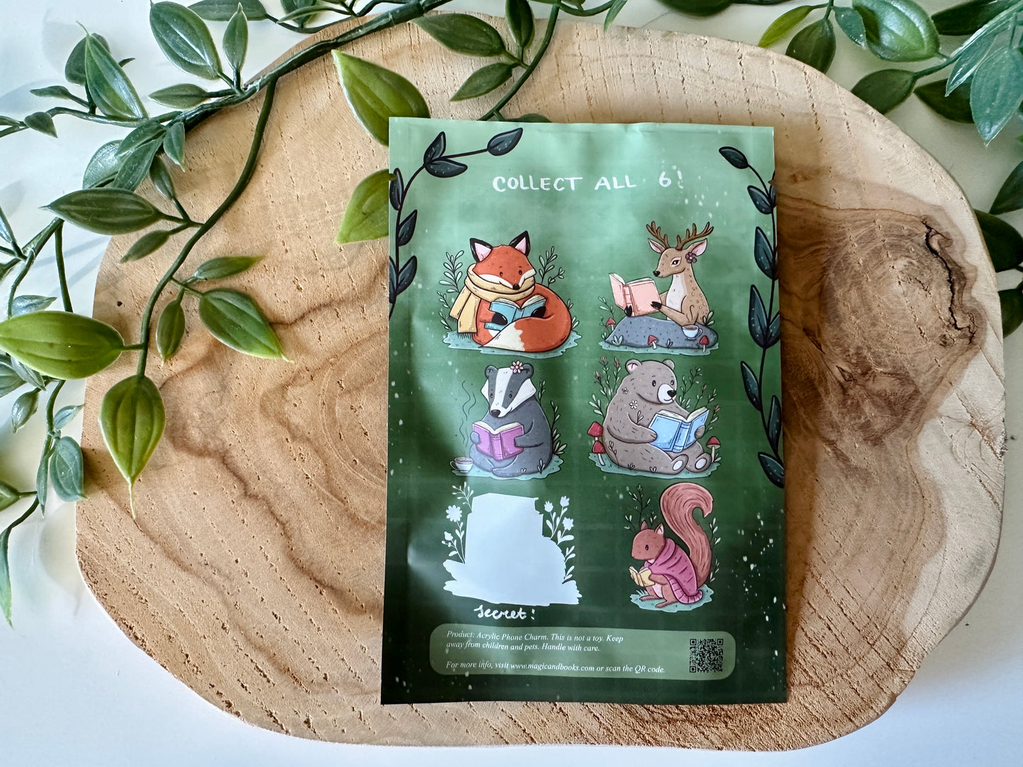 Woodland Readers Mystery Phone Charm Blind Bag