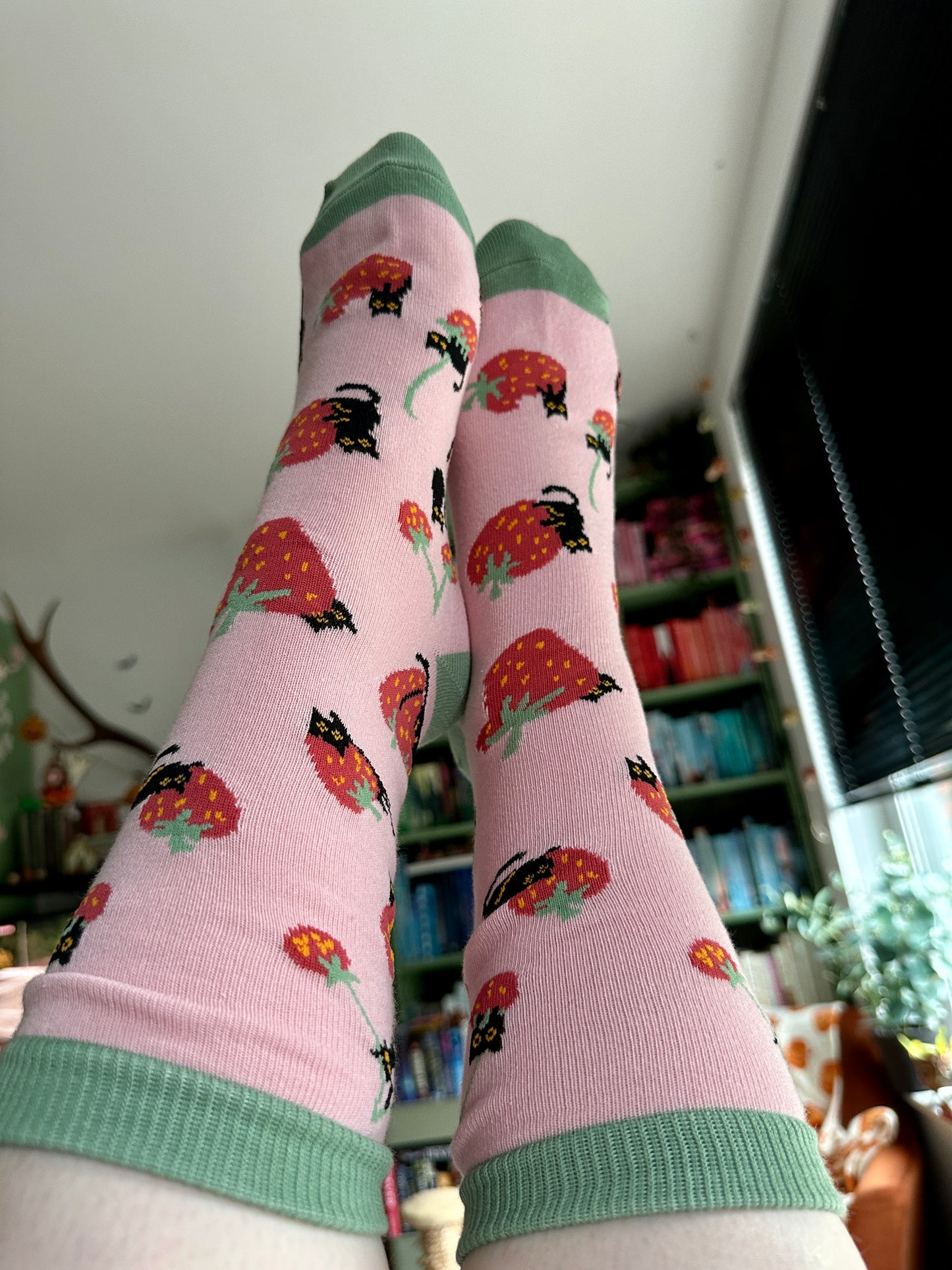 Cats & Strawberries Socken