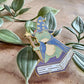 Wizard Frog Enamel Pin