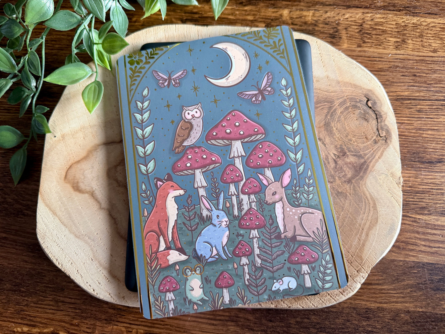 Coffret de liseuses Forêt et Champignons