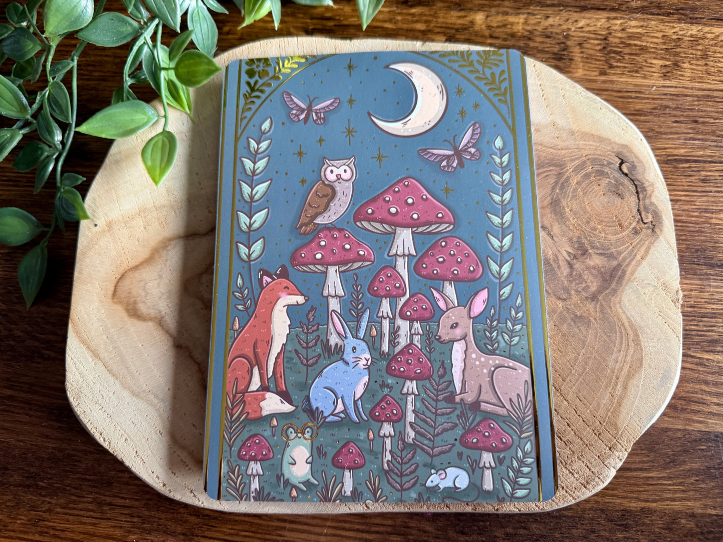 Inside the Forest E-Reader Insert