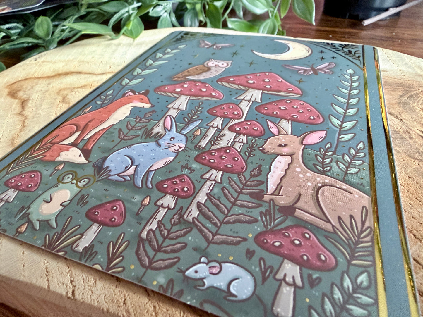 Inside the Forest E-Reader Insert