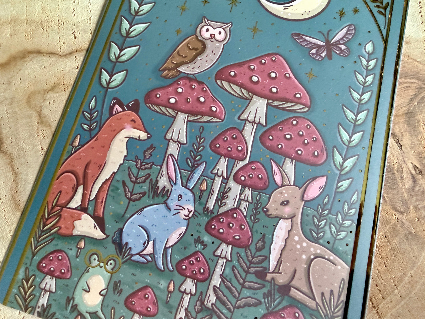 Inside the Forest E-Reader Insert