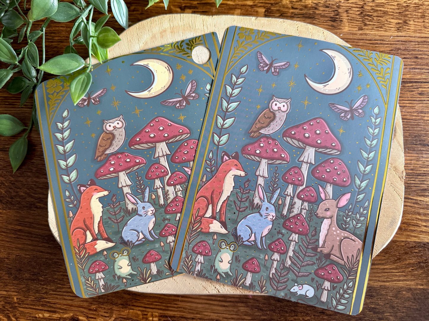 Inside the Forest E-Reader Insert