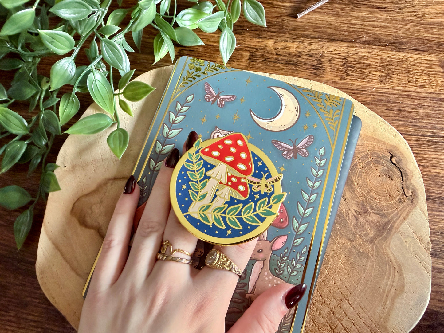 Coffret de liseuses Forêt et Champignons