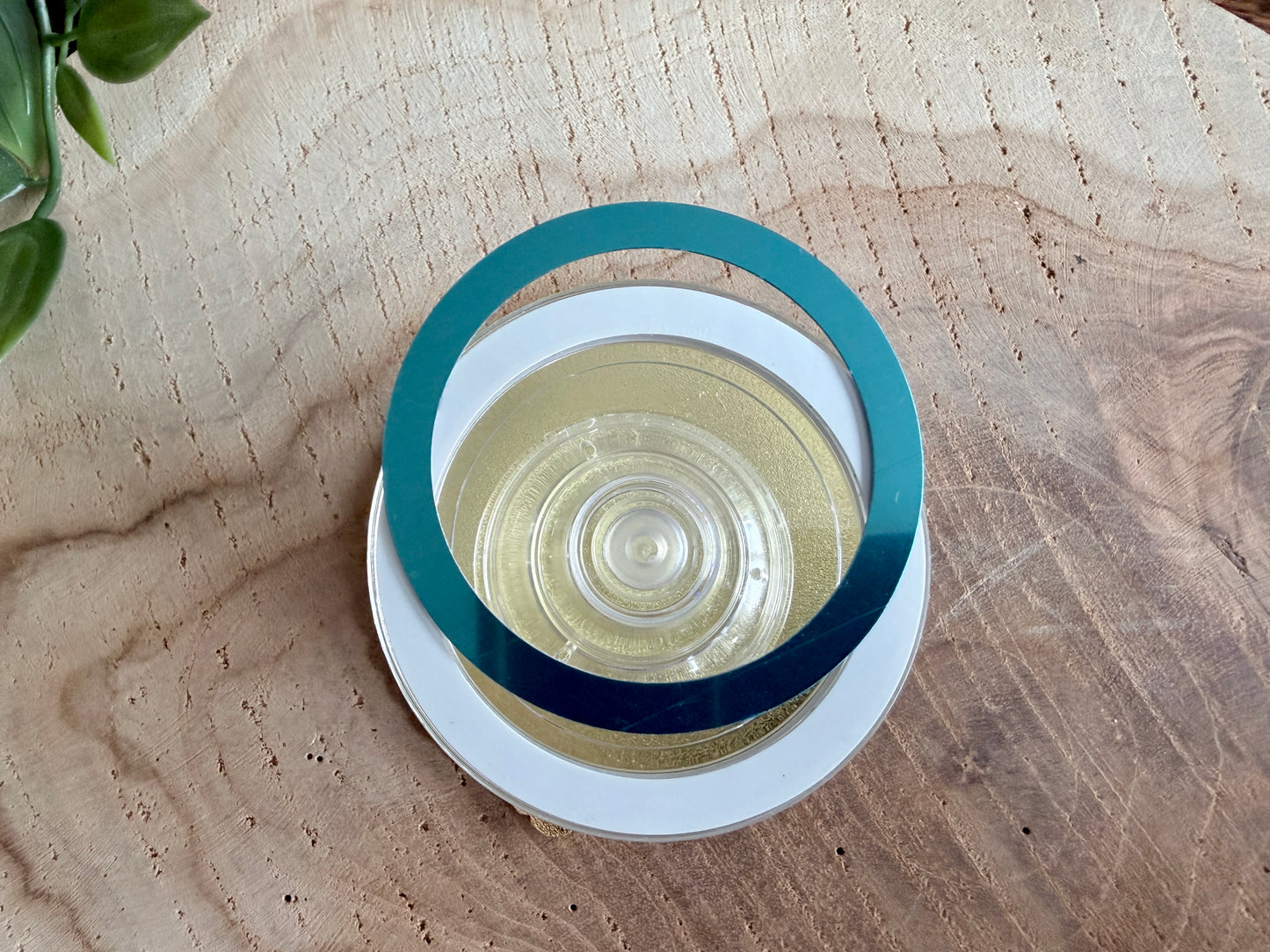 Poignée magnétique en métal Cat & Flowers