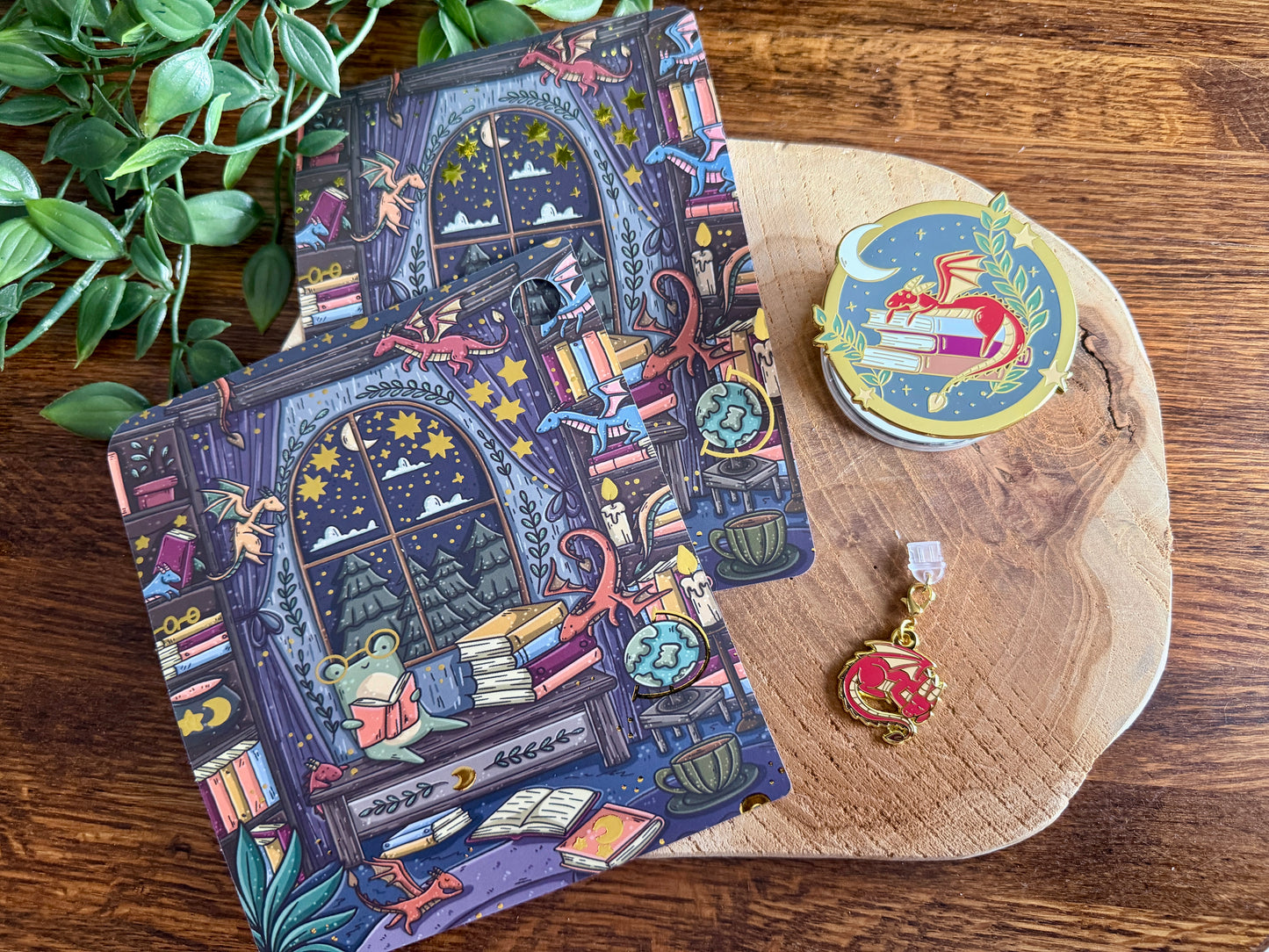 Coffret de liseuses Dragon et livres