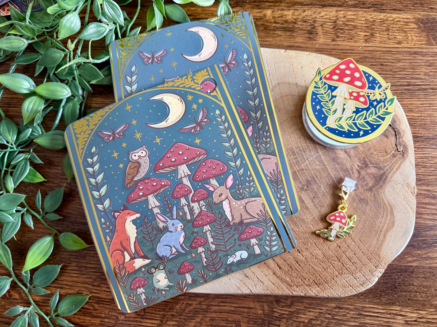 Coffret de liseuses Forêt et Champignons