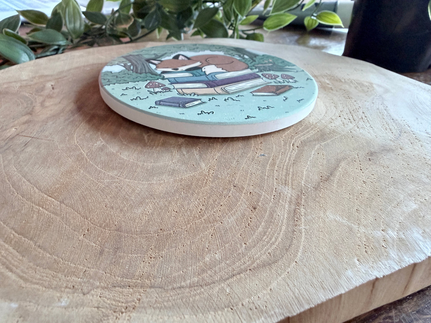 Sleeping Fox Coaster