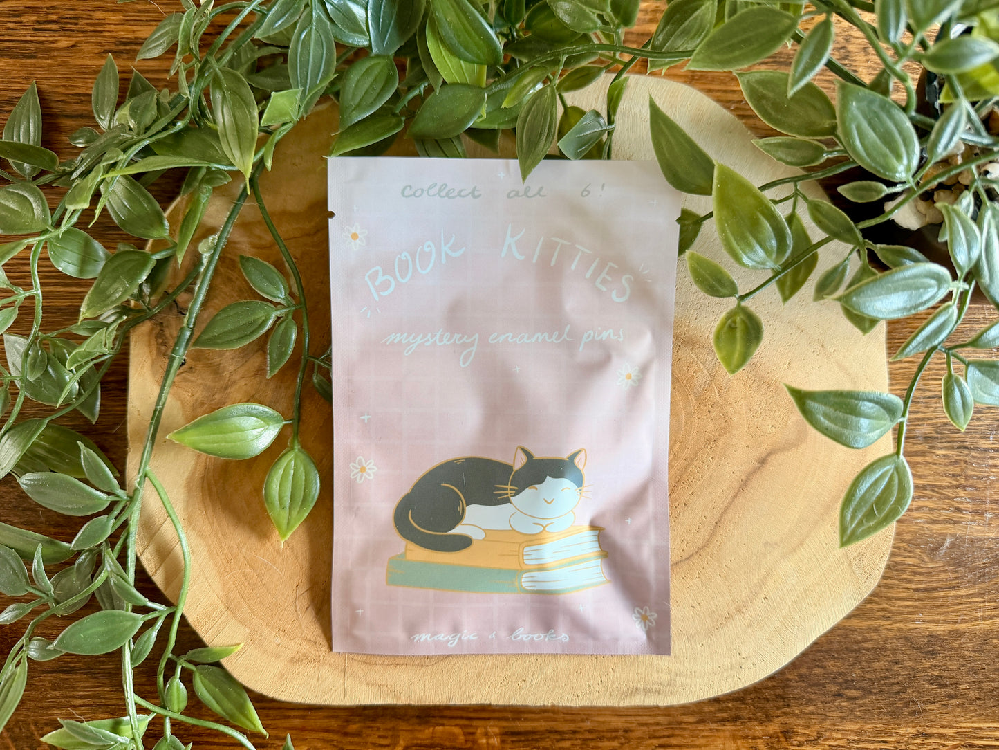 Book Kitties Enamel Pin Blind Bag
