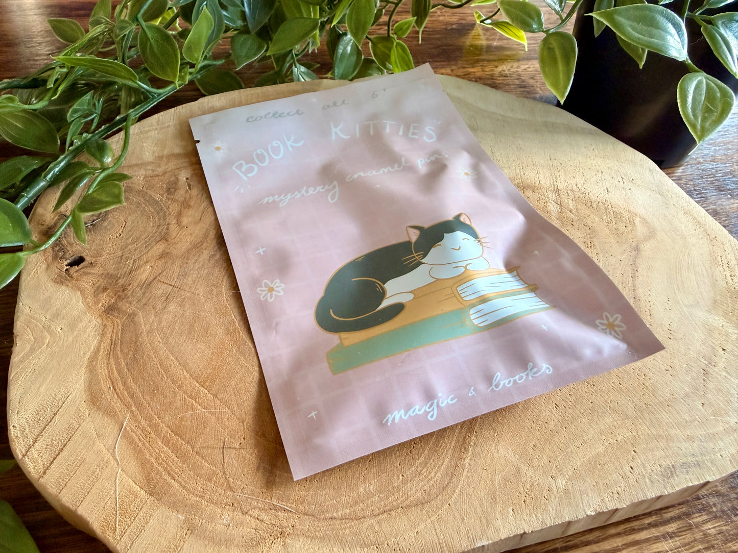 Book Kitties Enamel Pin Blind Bag