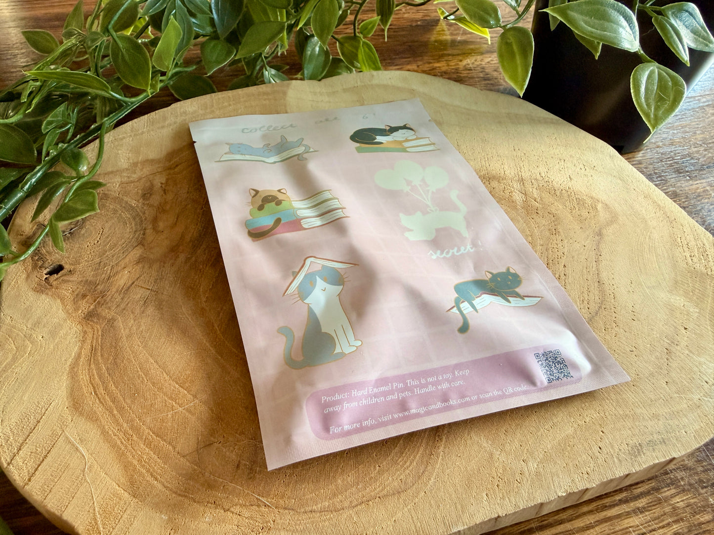 Book Kitties Enamel Pin Blind Bag