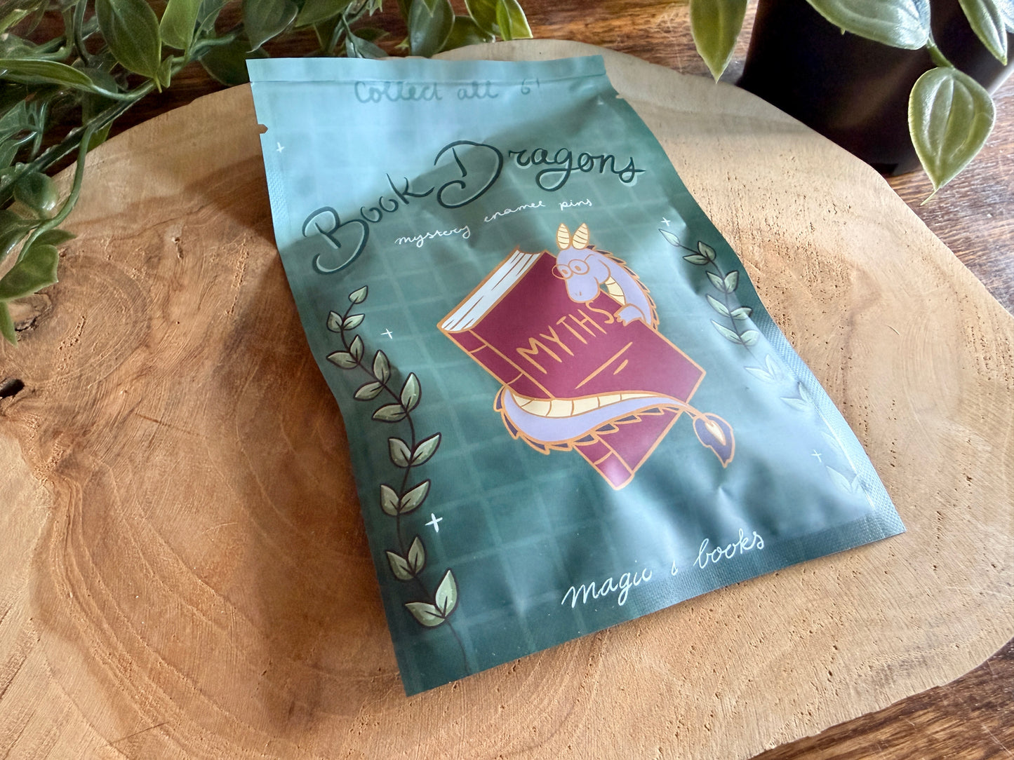 Book Dragons Enamel Pin Blind Bag