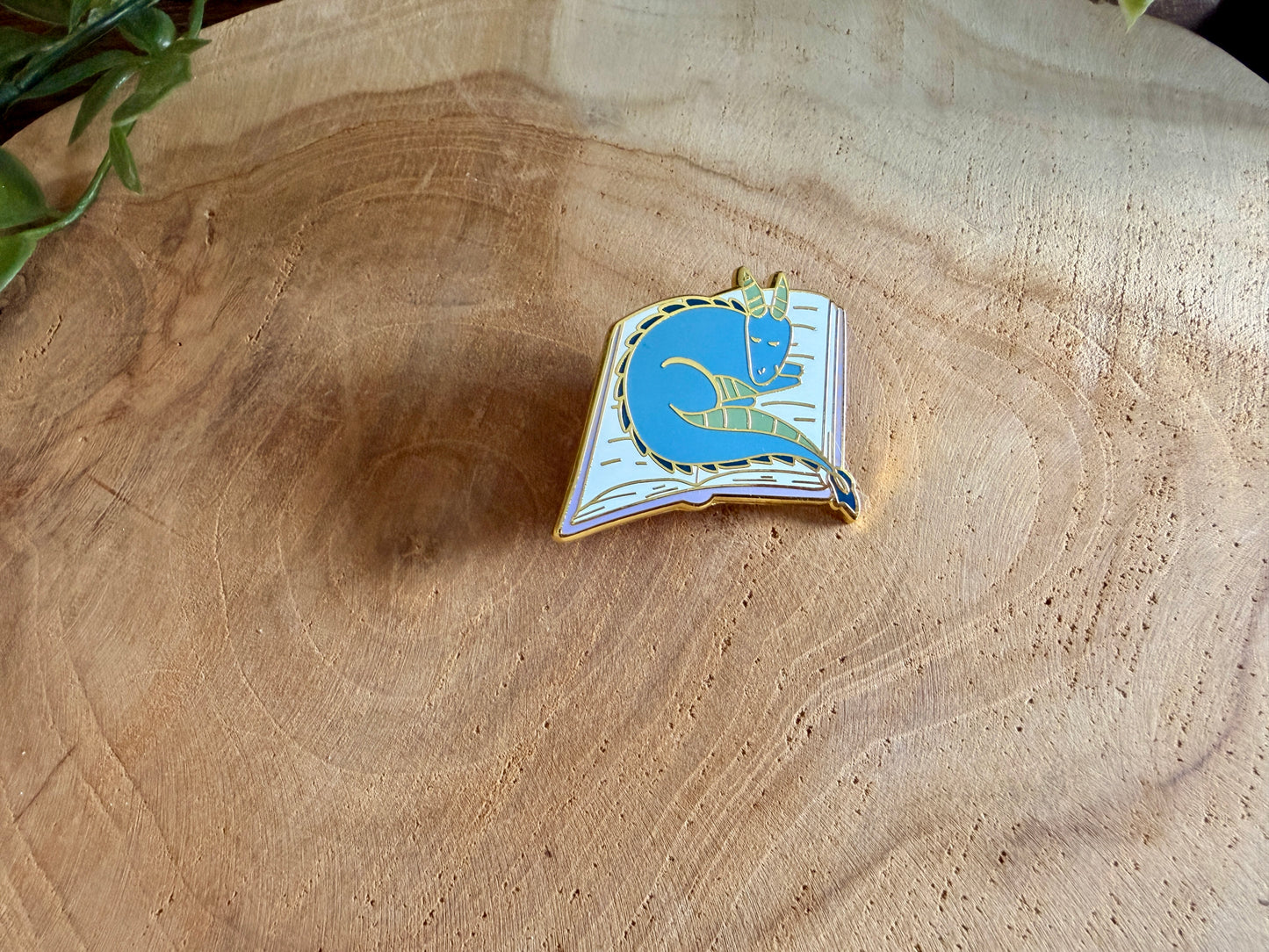 Book Dragons Enamel Pin Blind Bag