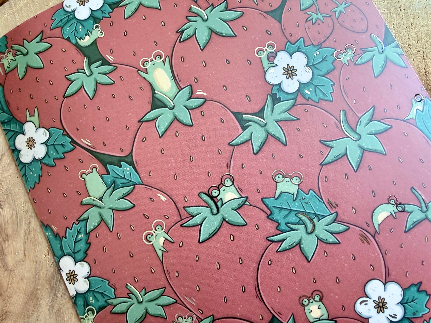 Fruity Froggies E-Reader-insert