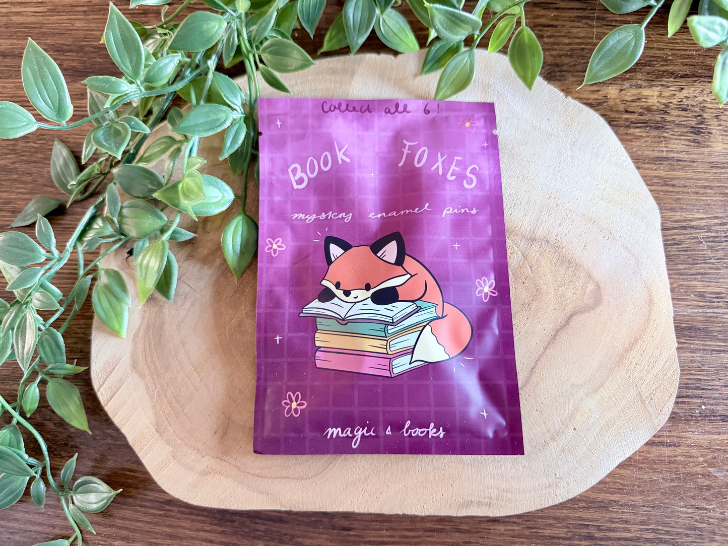 Book Foxes Enamel Pin Blind Bag