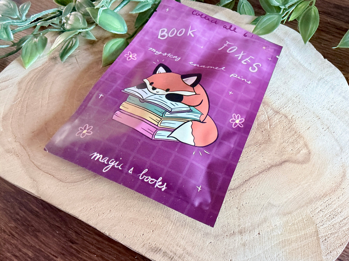 Book Foxes Enamel Pin Blind Bag