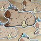 Capybara and Tiny Duck Die Cut Sticker